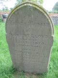 image of grave number 491362